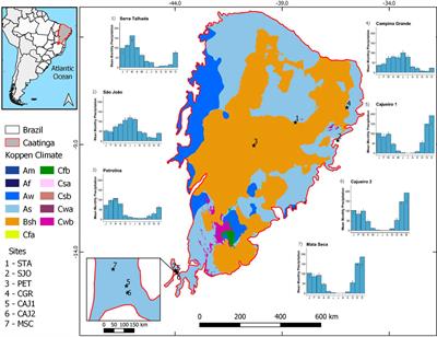 Multiscale phenology of seasonally dry tropical forests in an aridity gradient
